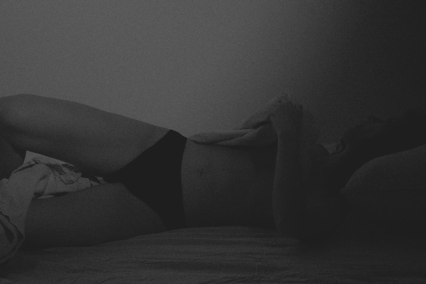 The Brief
